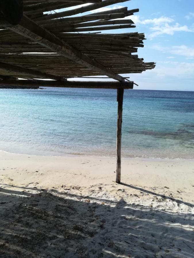 Willa Casa Eleonora Porto Torres Zewnętrze zdjęcie